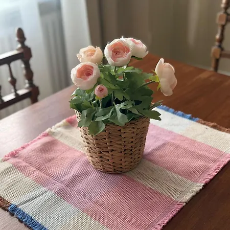 Schoene Und Zentrale Altbauwohnung In