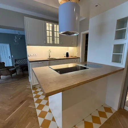Schoene Und Zentrale Altbauwohnung In Apartment